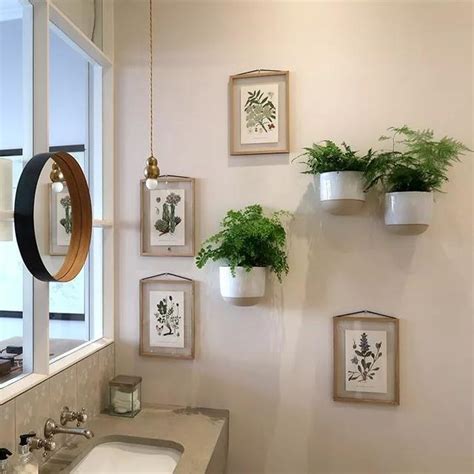 浴室植物佈置